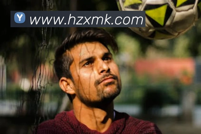 登录器 登录器
